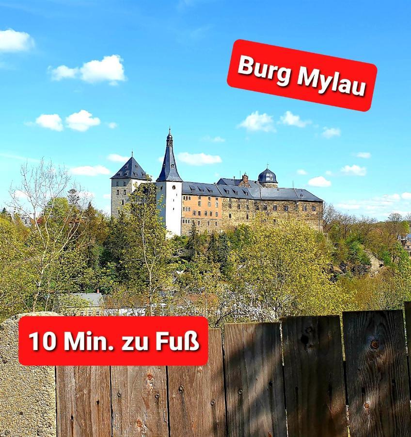 Apartamento FEWO Blick Mylau 80m2 - Nähe Freizeitpark Plohn&Göltzschtalbrücke - Ruhige Lage - Wald - Wandern - Rad fahren Reichenbach im Vogtland Exterior foto