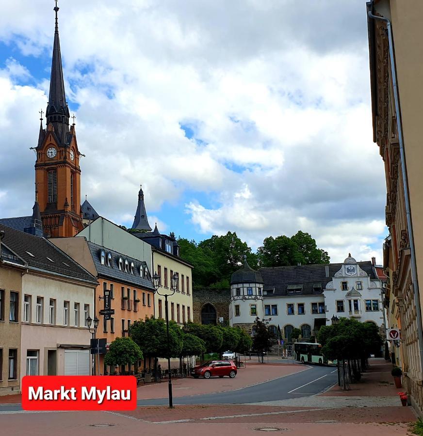 Apartamento FEWO Blick Mylau 80m2 - Nähe Freizeitpark Plohn&Göltzschtalbrücke - Ruhige Lage - Wald - Wandern - Rad fahren Reichenbach im Vogtland Exterior foto