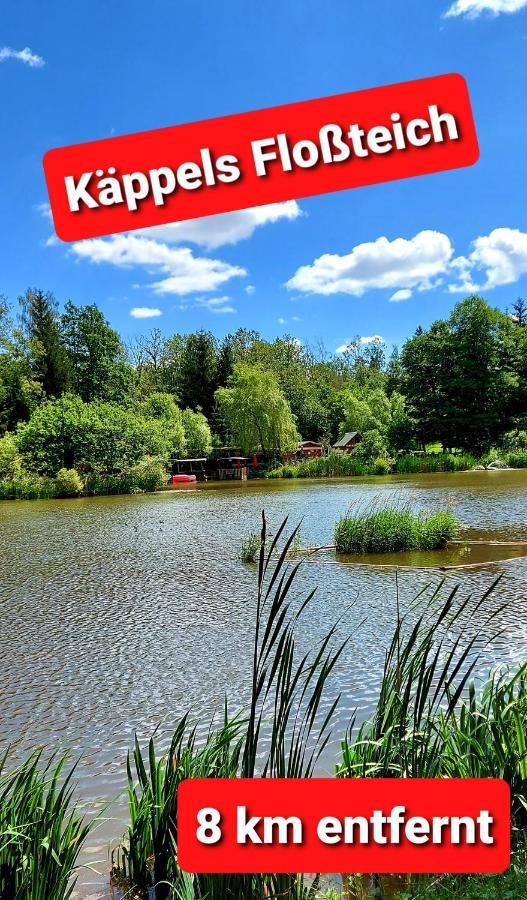 FEWO Blick Mylau 80m2 - Nähe Freizeitpark Plohn&Göltzschtalbrücke - Ruhige Lage - Wald - Wandern - Rad fahren Reichenbach im Vogtland Exterior foto